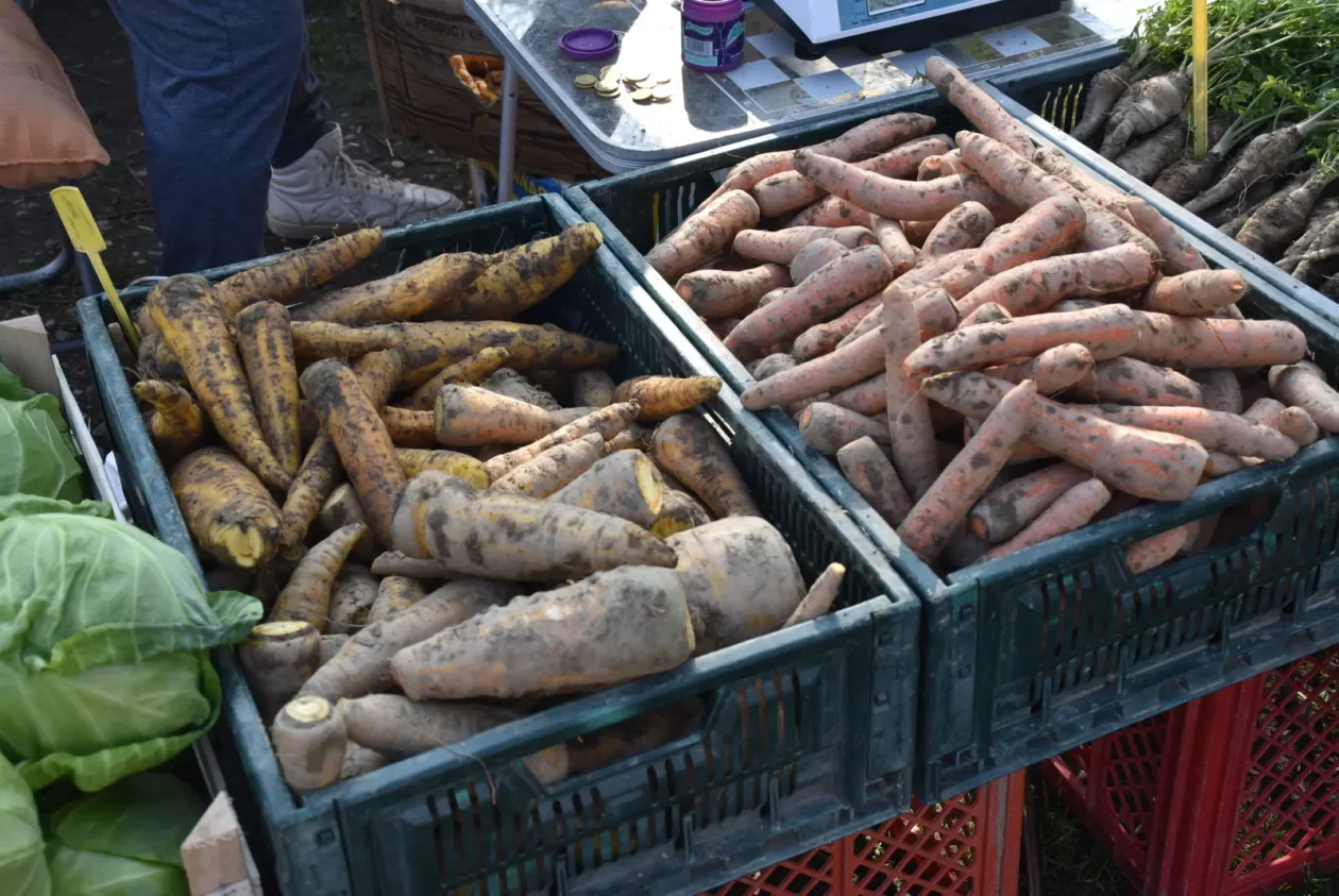 Sajam, Čakovec, 2.4 (7)