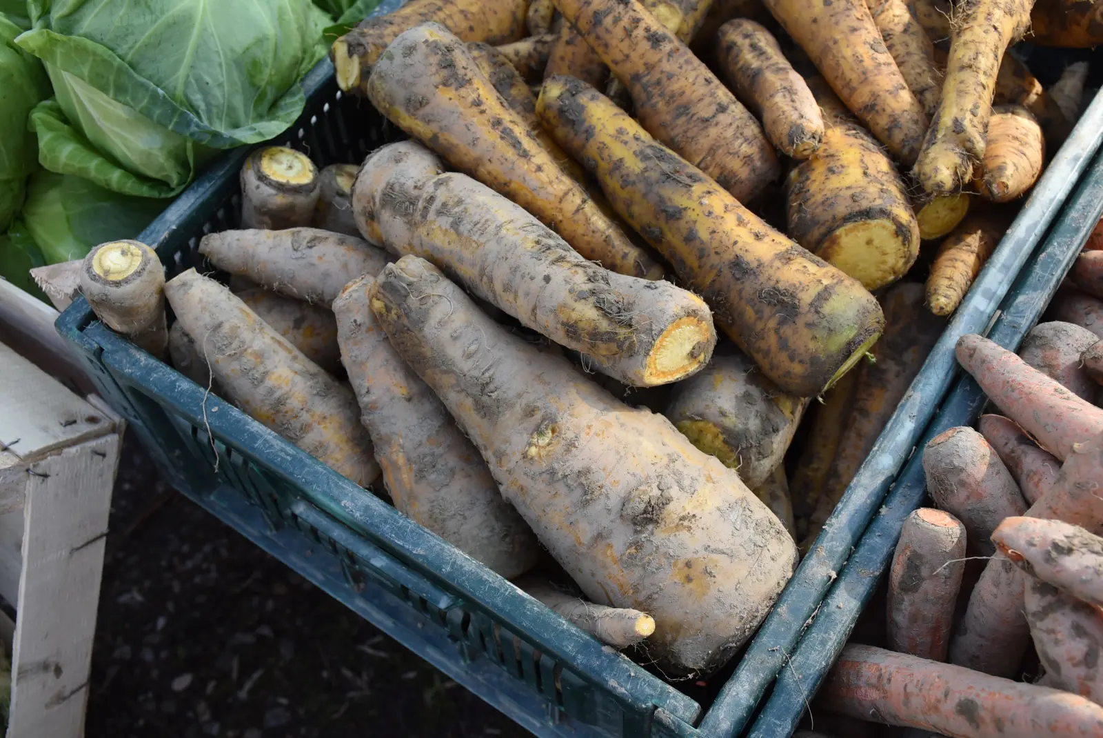 Sajam, Čakovec, 2.4 (9) Sajam, Čakovec, 2.4 (9)