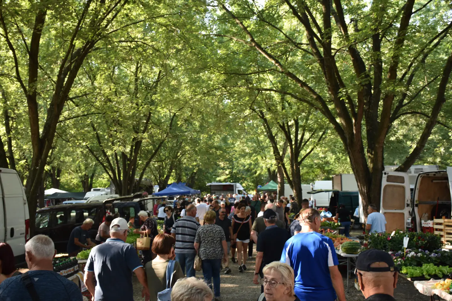 Sajam, Čakovec, 20.8.2025 (11)