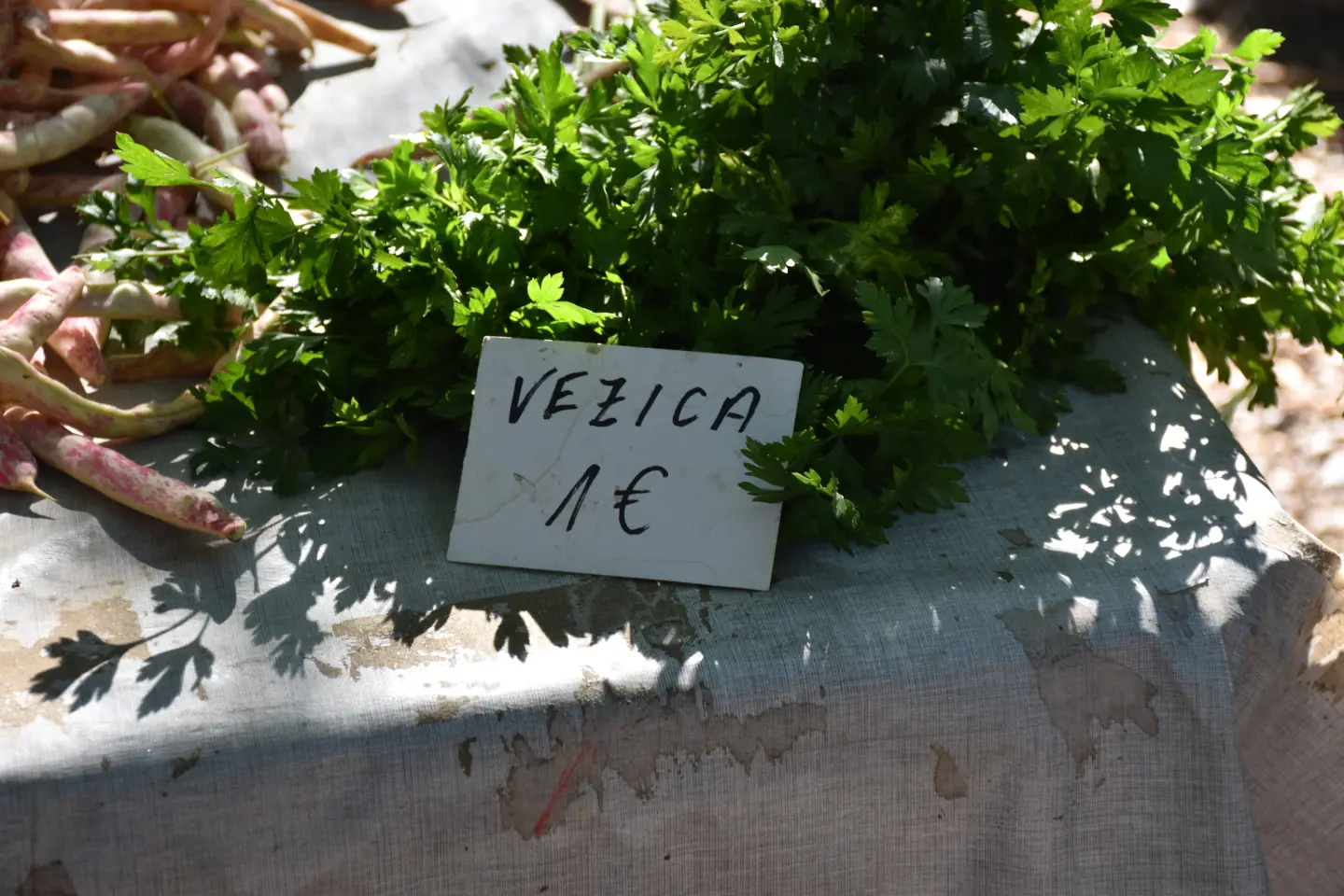 Sajam, Čakovec, 20.8.2025 (14)