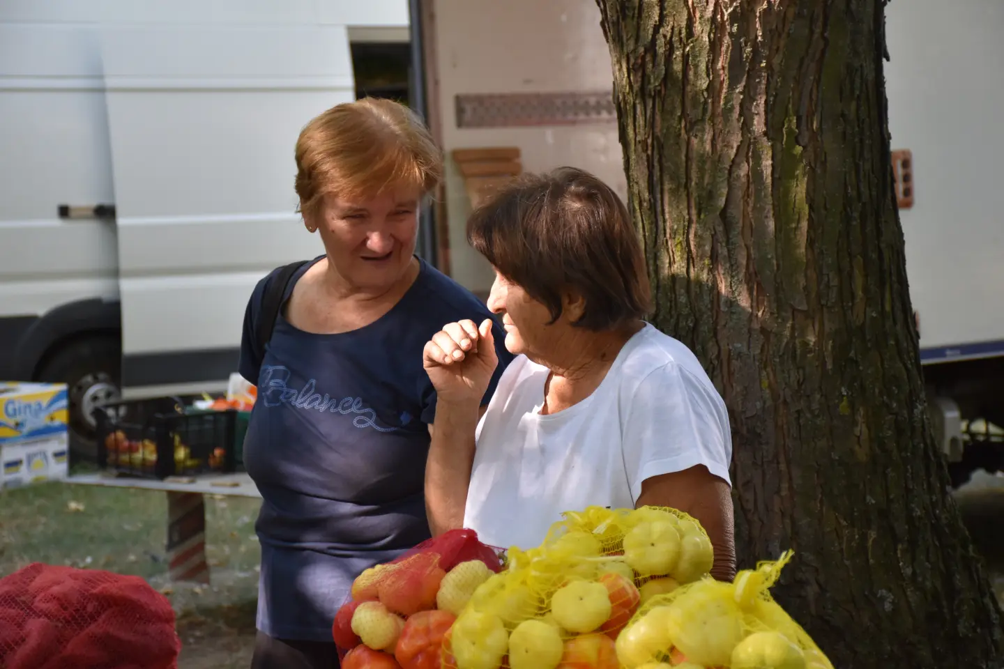 Sajam, Čakovec, 20.8.2025 (18)