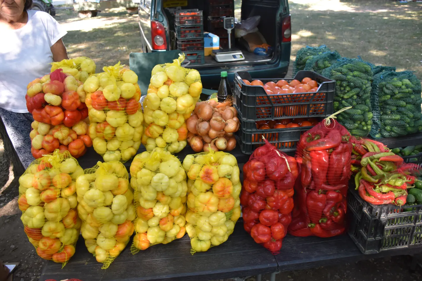 Sajam, Čakovec, 20.8.2025 (19)