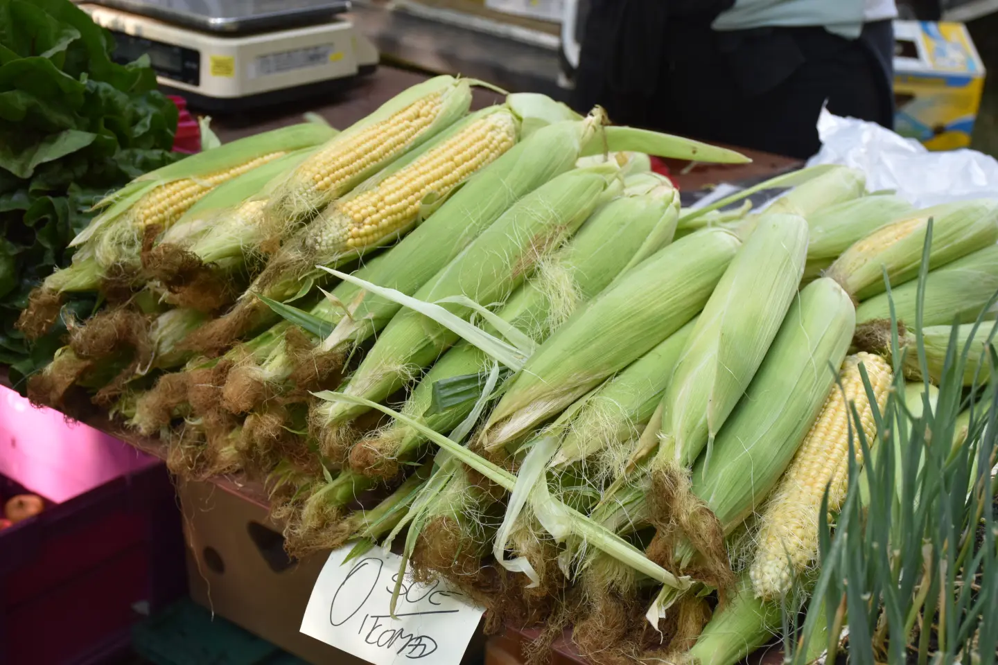 Sajam, Čakovec, 20.8.2025 (23)