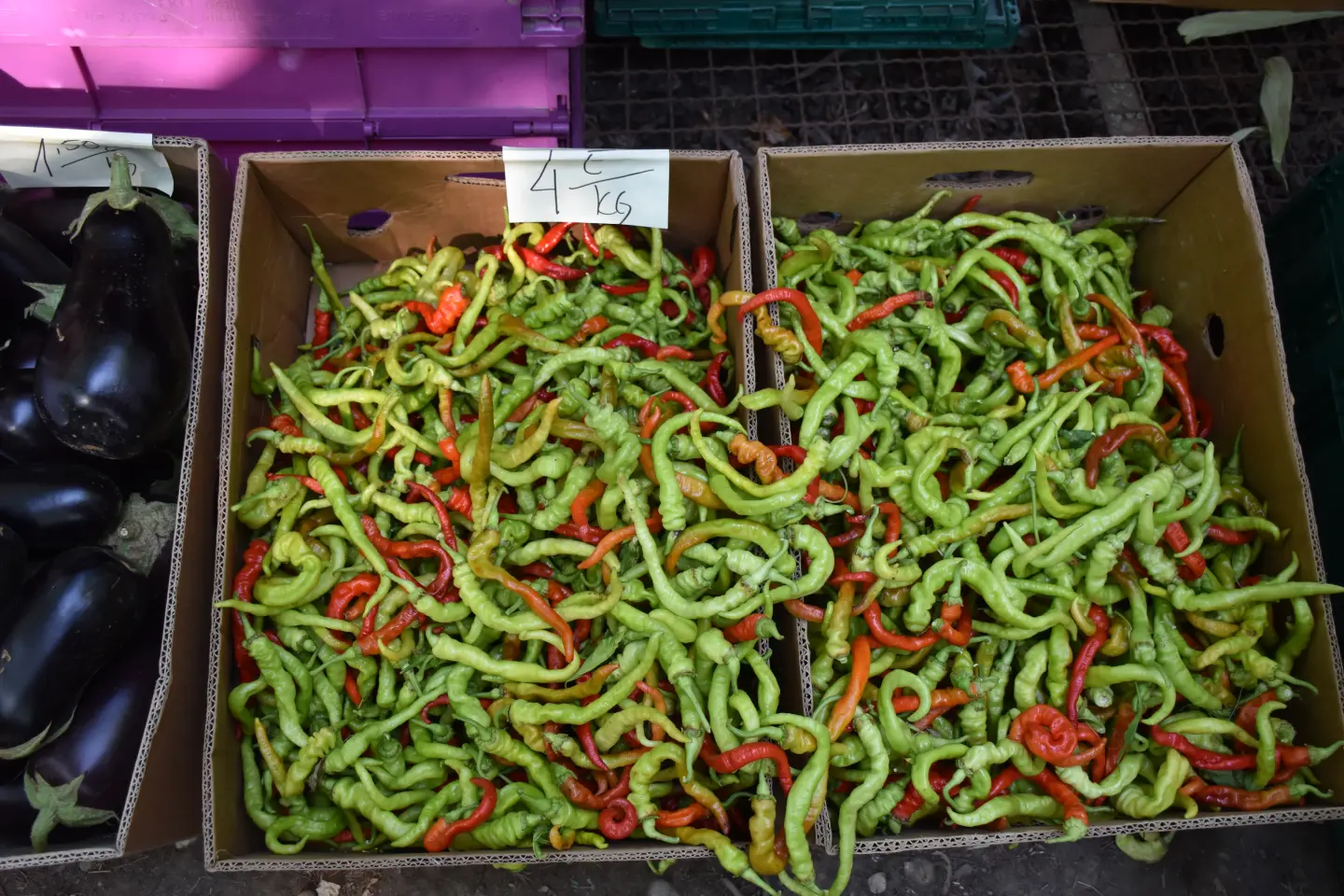 Sajam, Čakovec, 20.8.2025 (24)