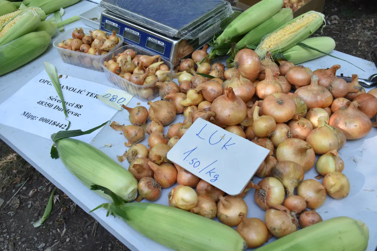 Sajam, Čakovec, 20.8.2025 (28)