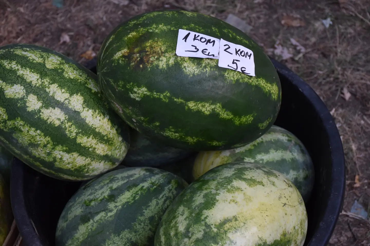 Sajam, Čakovec, 20.8.2025 (29)