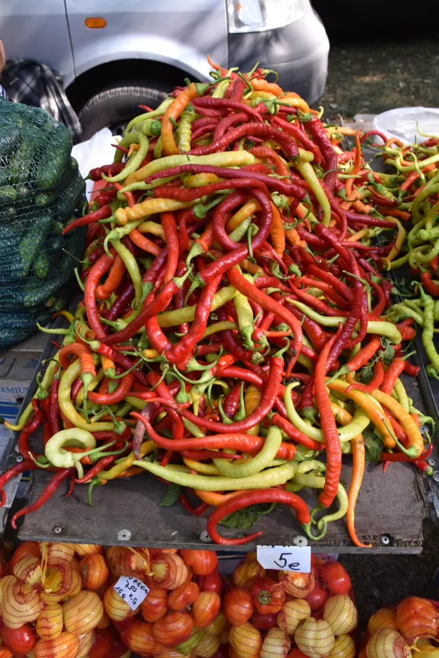 Sajam, Čakovec, 20.8.2025 (31)