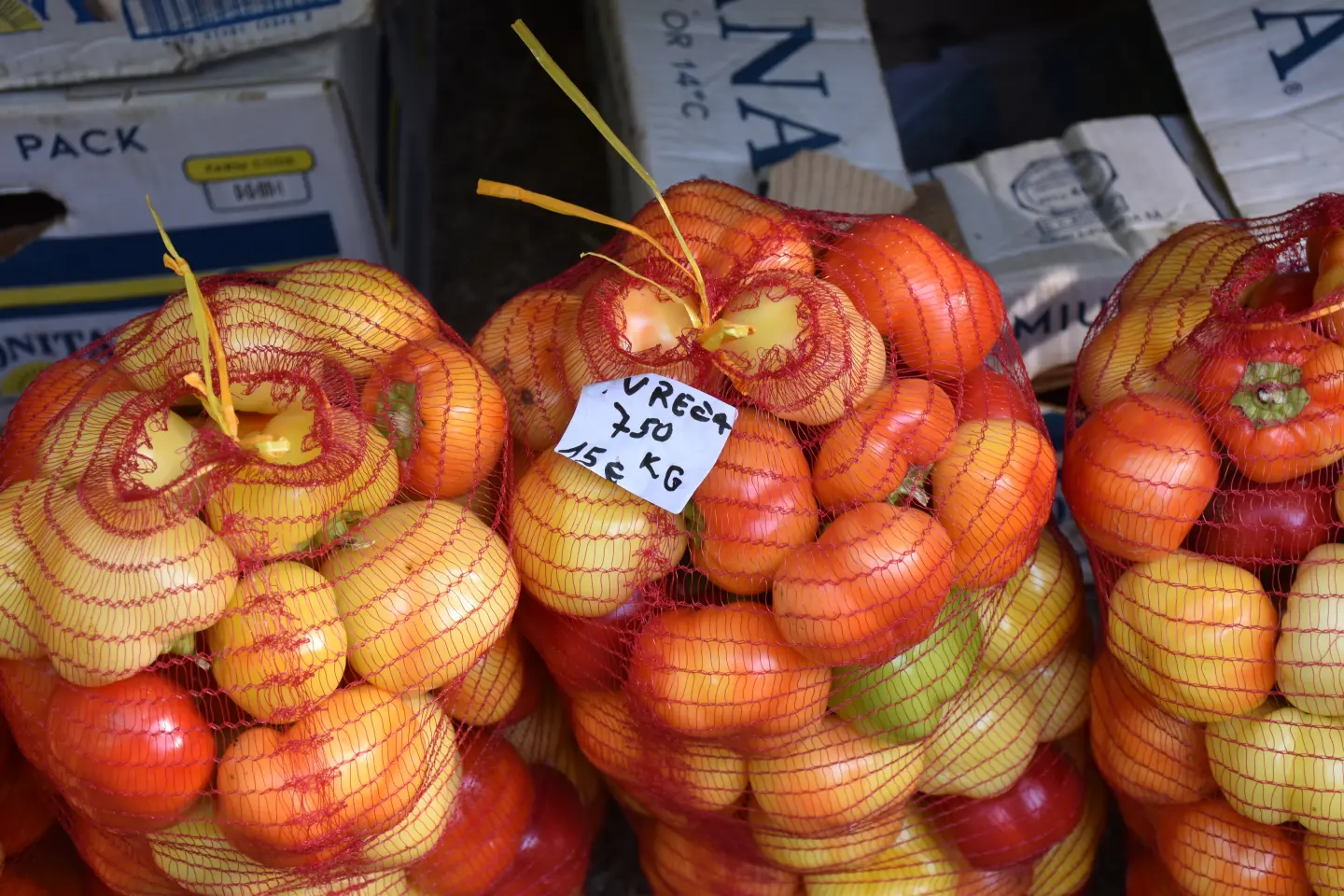 Sajam, Čakovec, 20.8.2025 (32)