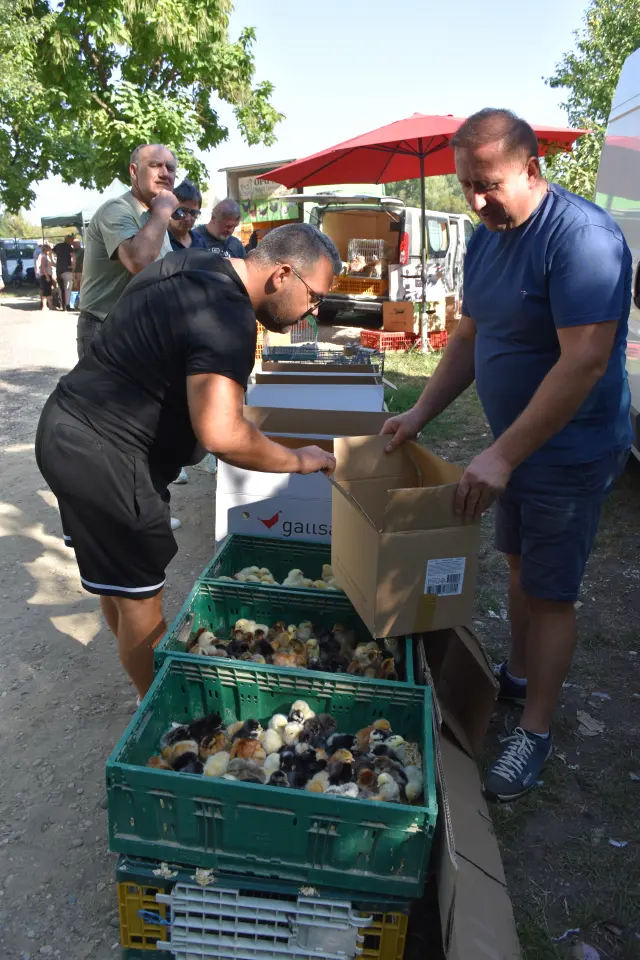 Sajam, Čakovec, 20.8.2025 (45)