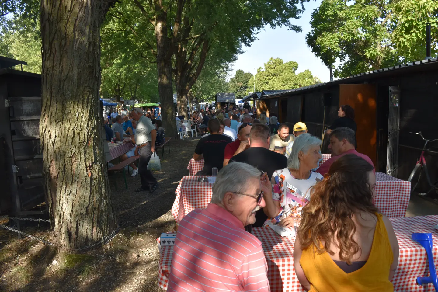 Sajam, Čakovec, 20.8.2025 (49)