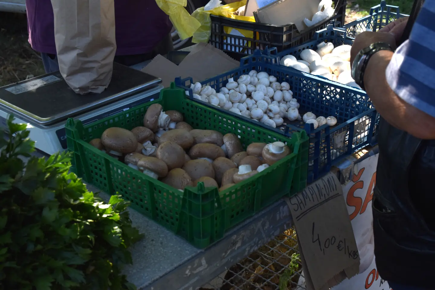 Sajam, Čakovec, 20.8.2025 (5)