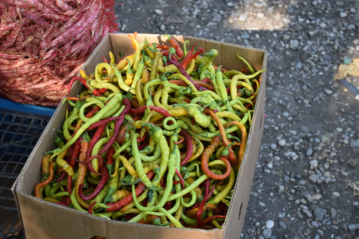 Sajam, Čakovec, 20.8.2025 (7)