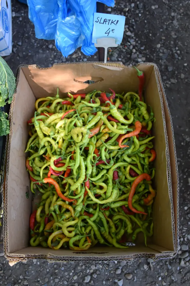 Sajam, Čakovec, 20.8.2025 (9)