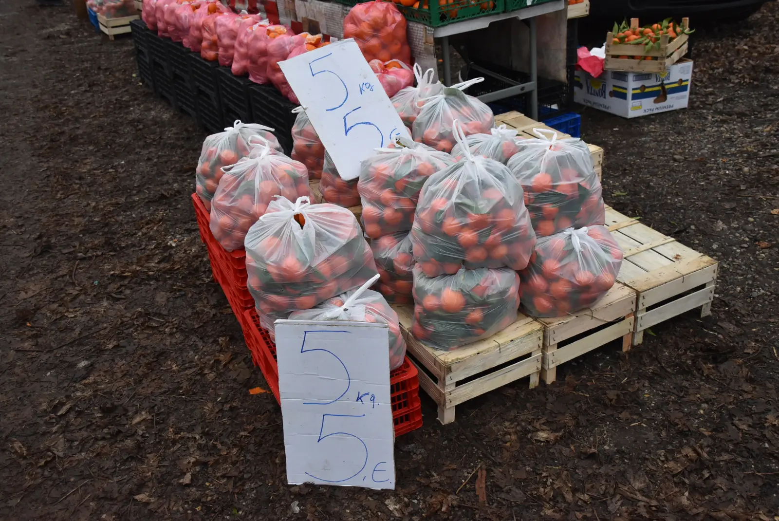 Sajam, Čakovec, 22.1.2025 (21)