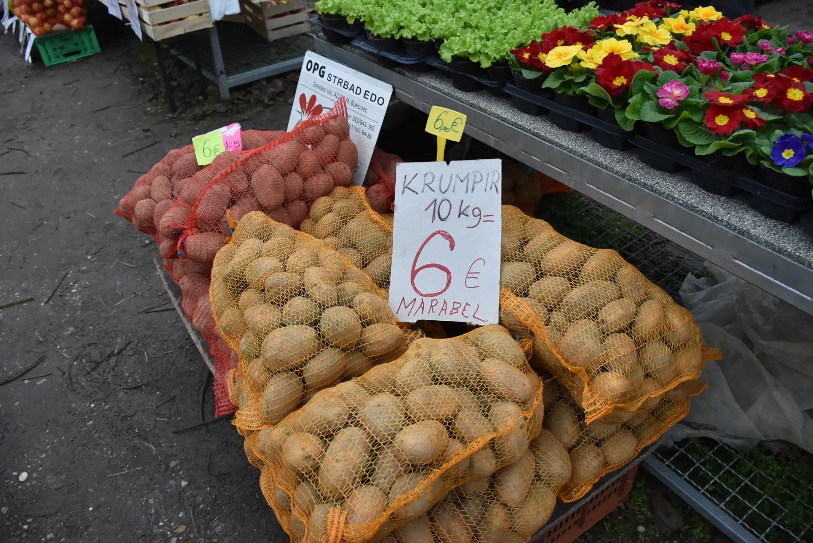 Sajam, Čakovec, 22.1.2025 (5)