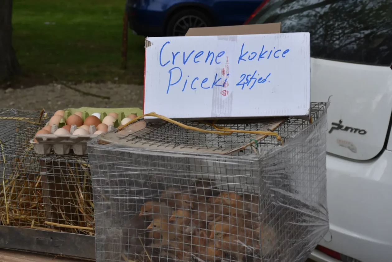 Sajam, Čakovec, 23.4.25 (1)