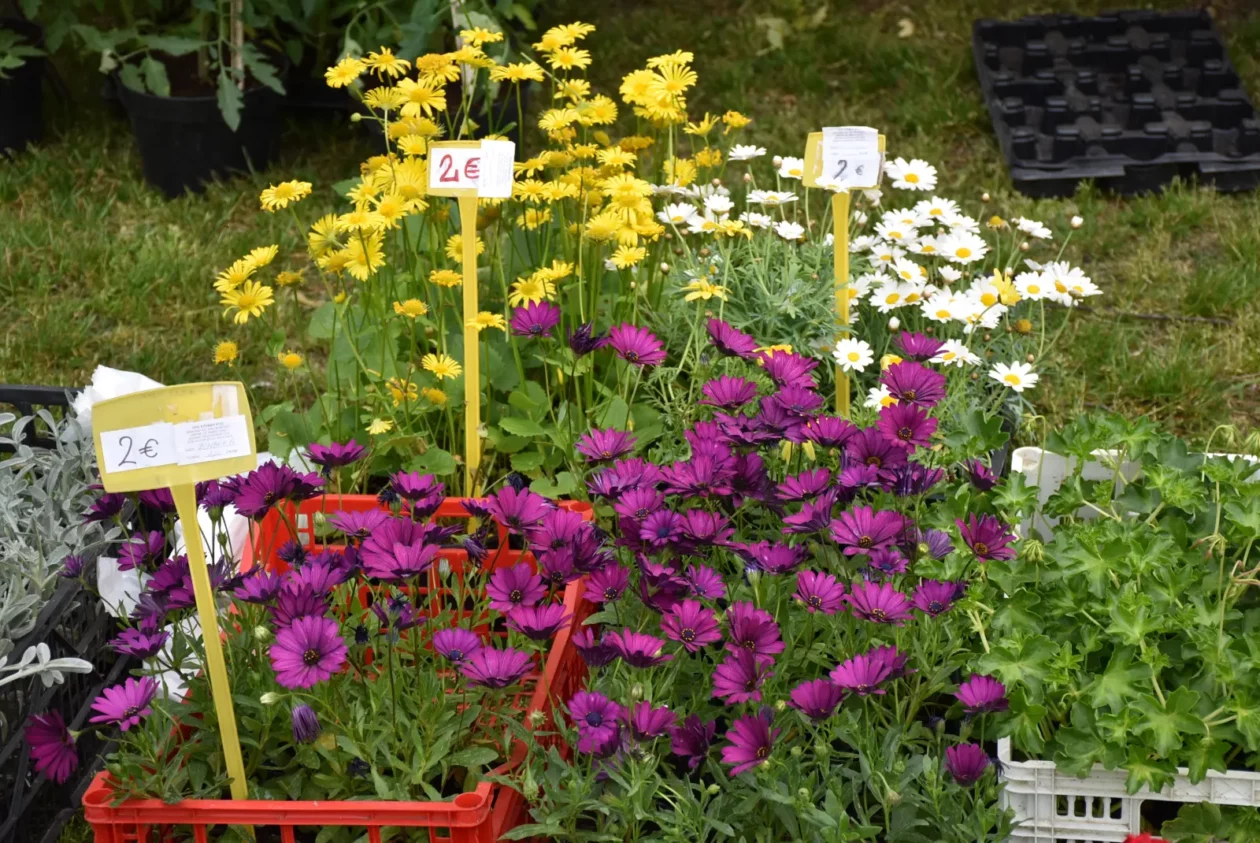 Sajam, Čakovec, 23.4.25 (13)