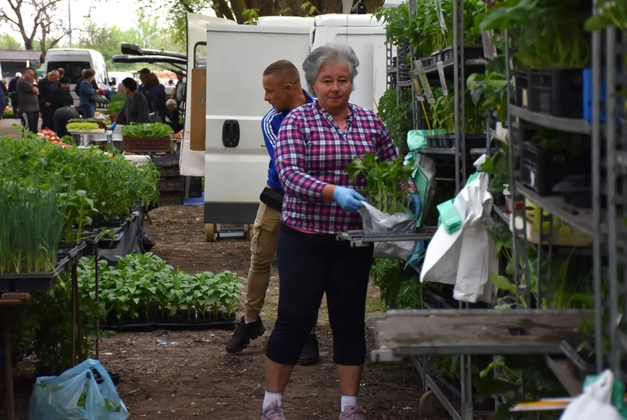 Sajam, Čakovec, 23.4.25 (26)