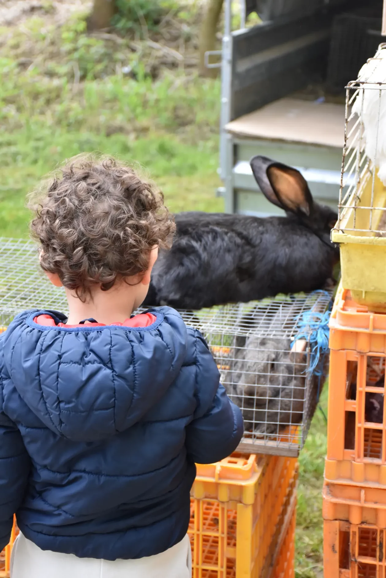 Sajam, Čakovec, 23.4.25 (3)