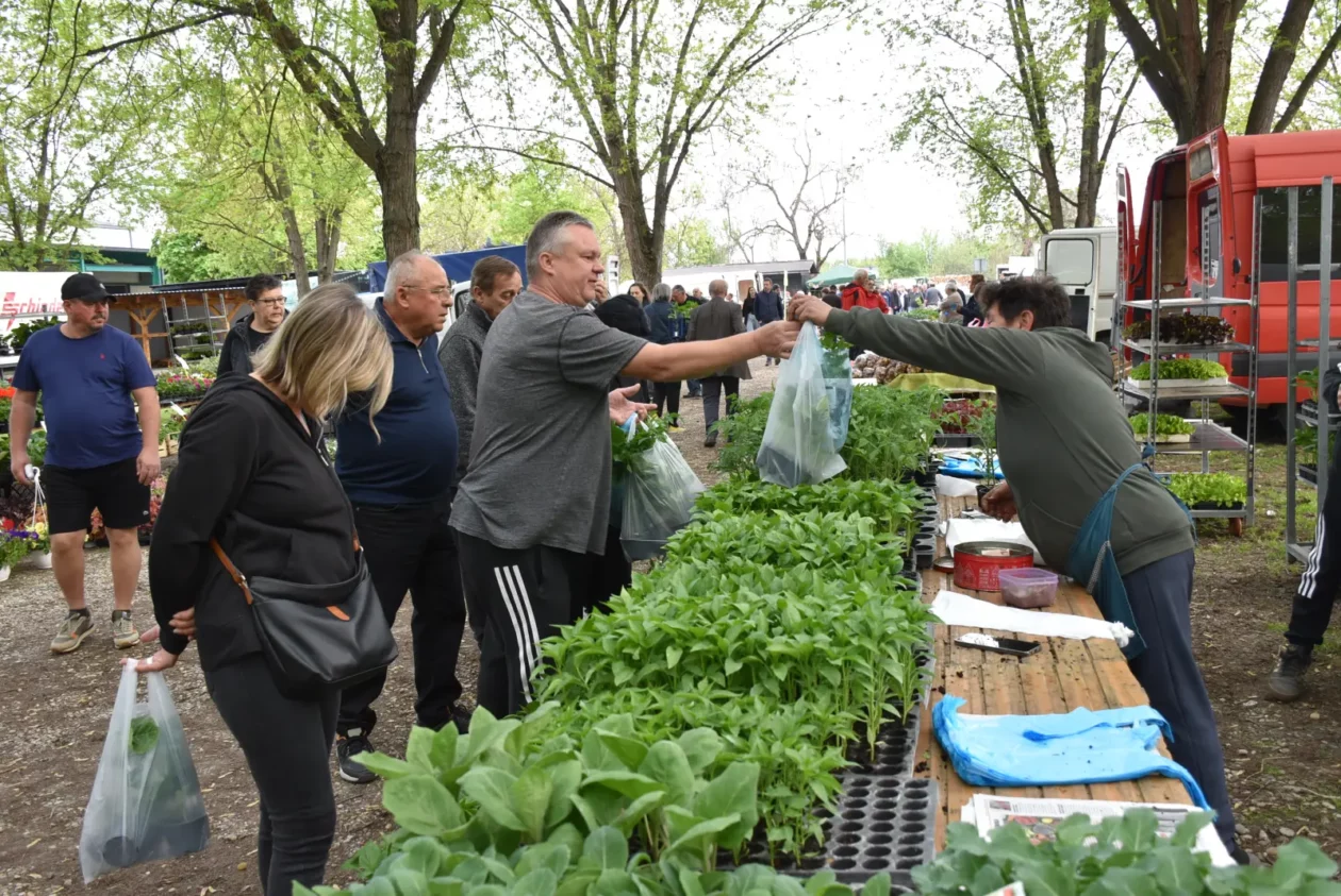 Sajam, Čakovec, 23.4.25 (32)