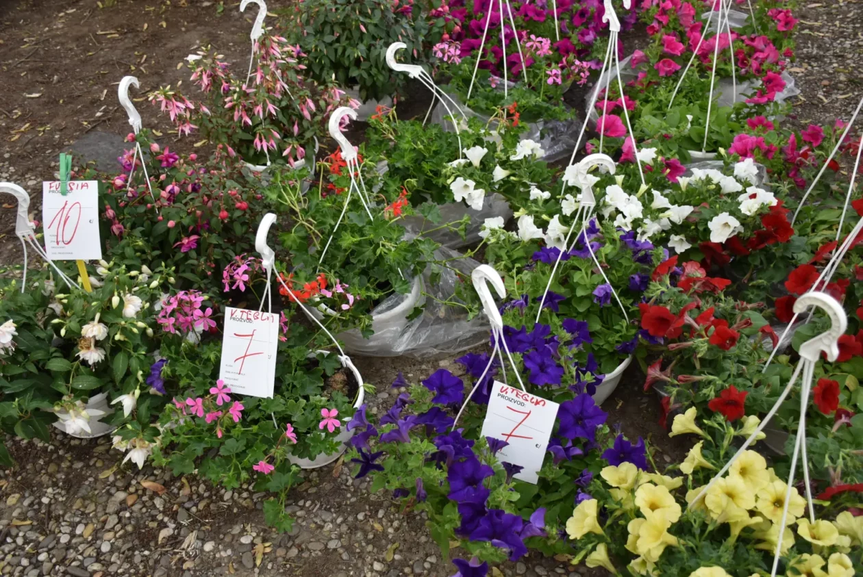 Sajam, Čakovec, 23.4.25 (33)