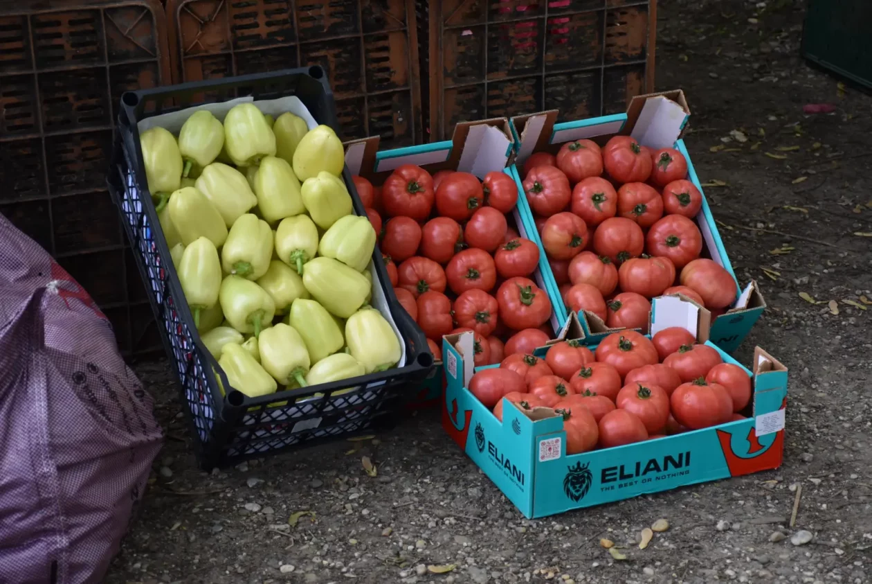 Sajam, Čakovec, 23.4.25 (36)