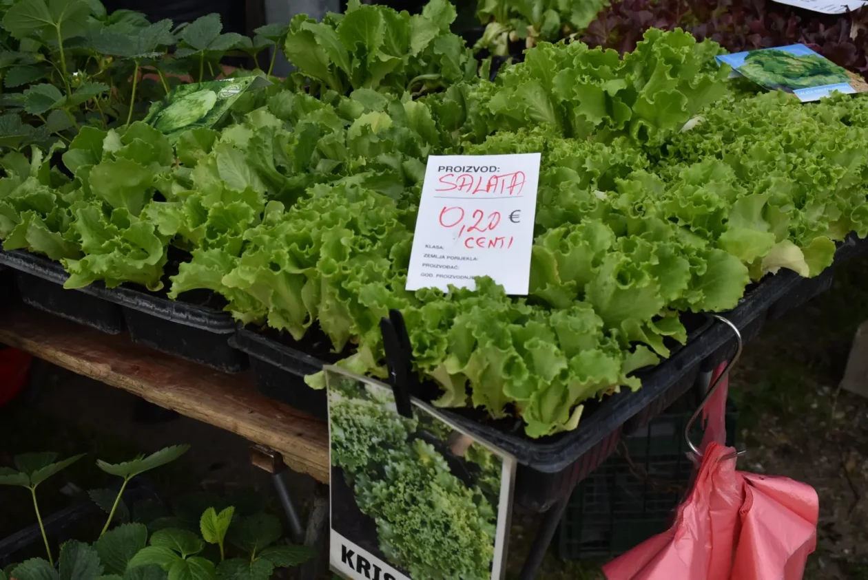 Sajam, Čakovec, 23.4.25 (41)