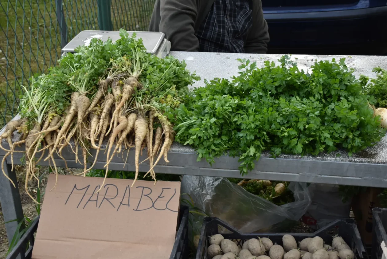 Sajam, Čakovec, 23.4.25 (44)