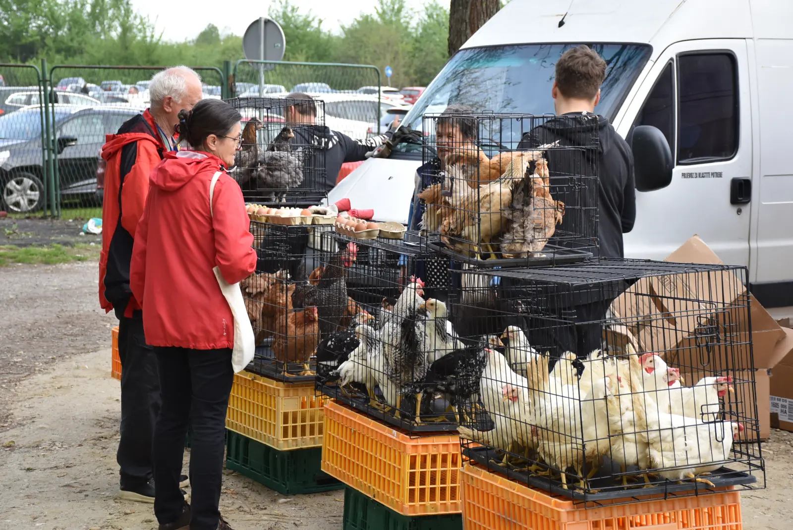 Sajam, Čakovec, 23.4.25 (5)