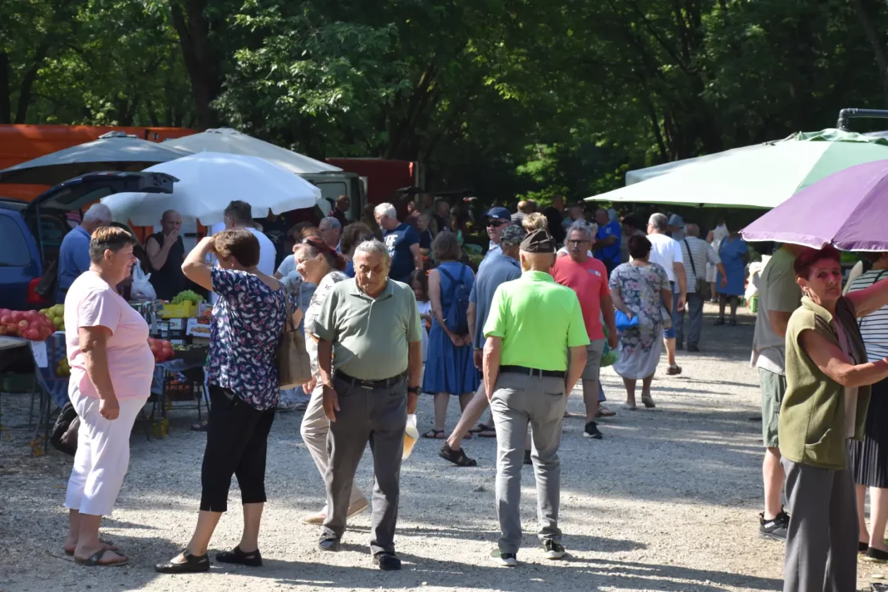 Sajam, Čakovec, 25.6.2025 (1) Sajam, Čakovec, 25.6.2025 (1)