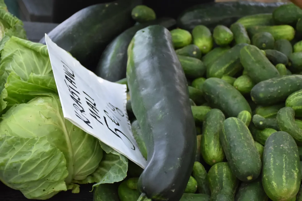 Sajam, Čakovec, 25.6.2025 (15) Sajam, Čakovec, 25.6.2025 (15)