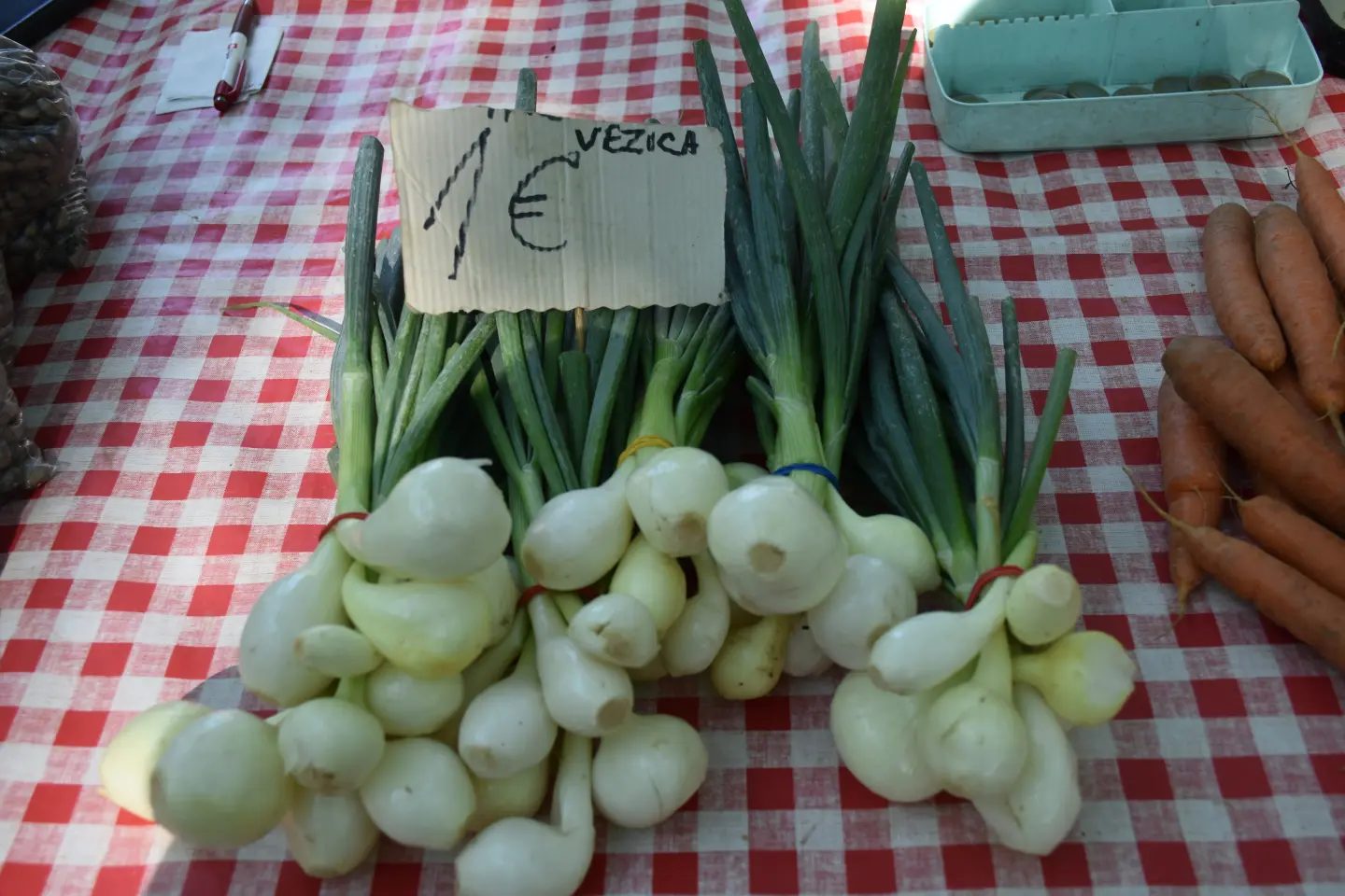 Sajam, Čakovec, 25.6.2025 (17)