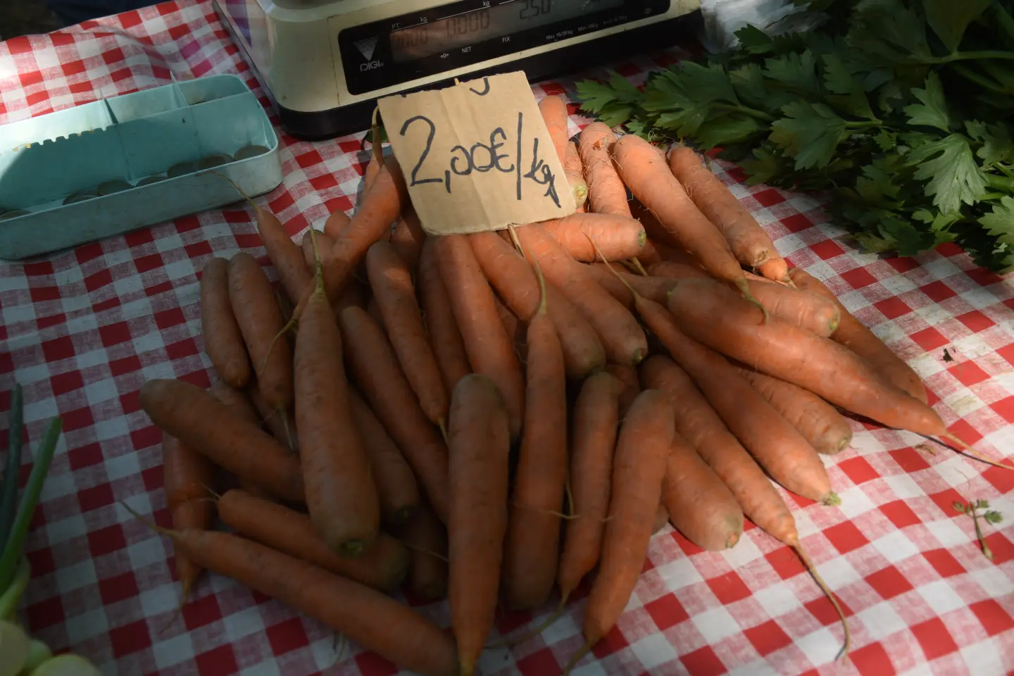 Sajam, Čakovec, 25.6.2025 (18)