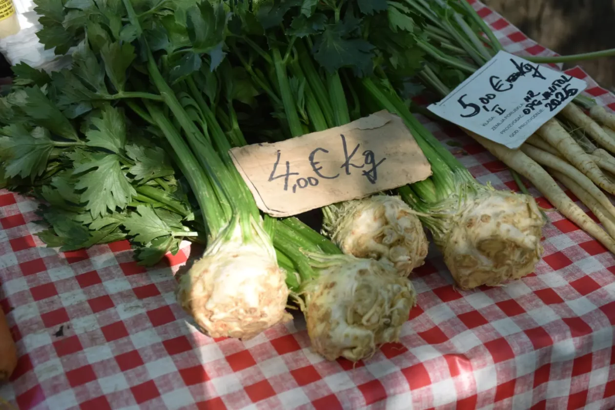 Sajam, Čakovec, 25.6.2025 (19) Sajam, Čakovec, 25.6.2025 (19)