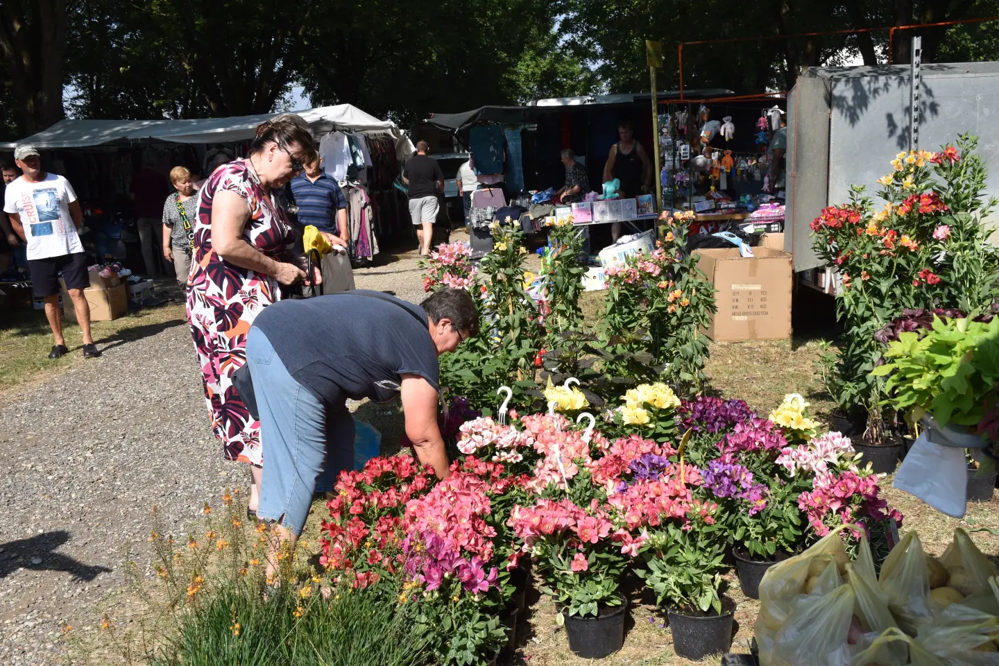 Sajam, Čakovec, 25.6.2025 (35)