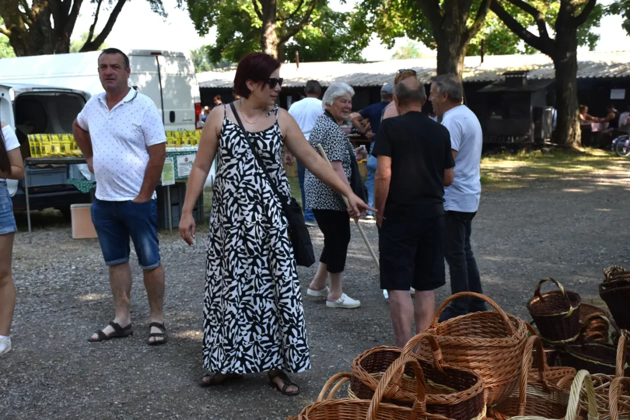 Sajam, Čakovec, 25.6.2025 (36) Sajam, Čakovec, 25.6.2025 (36)