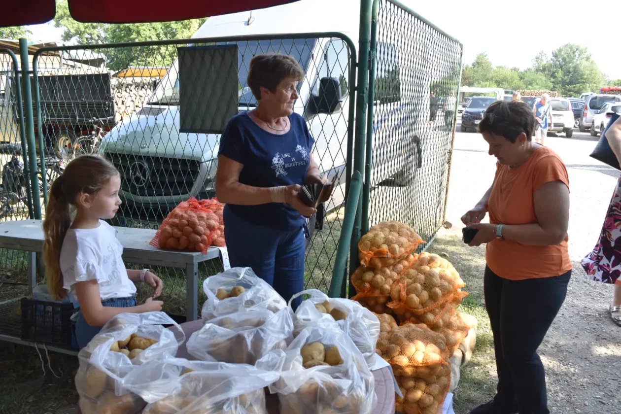 Sajam, Čakovec, 25.6.2025 (4) Sajam, Čakovec, 25.6.2025 (4)