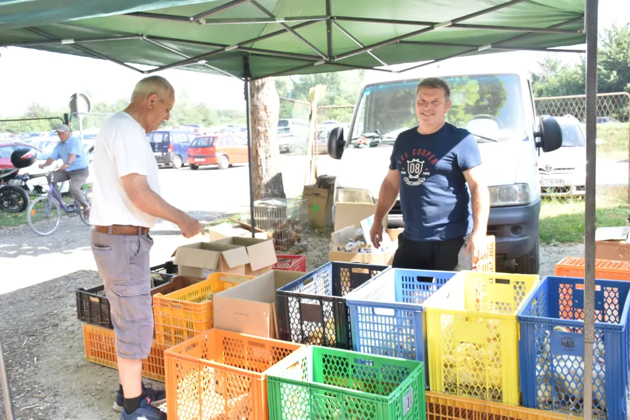 Sajam, Čakovec, 25.6.2025 (42) Sajam, Čakovec, 25.6.2025 (42)