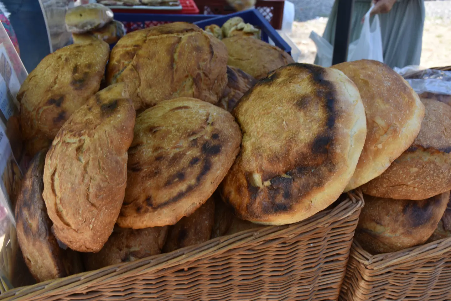 Sajam, Čakovec, 25.6.2025 (5)