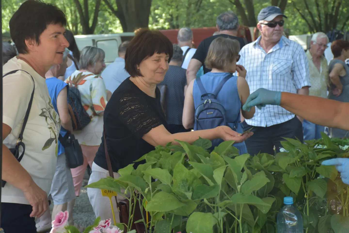Sajam, Čakovec, 25.6.2025 (8)