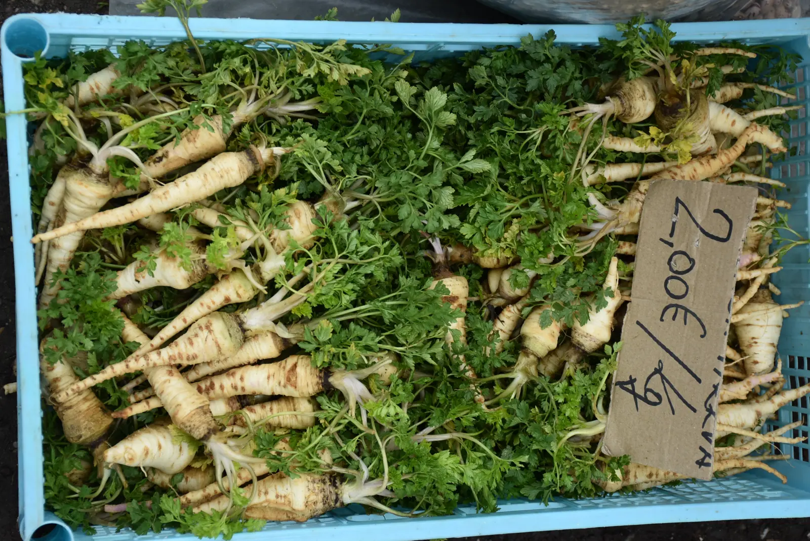 Sajam, Čakovec 26.3 (11)