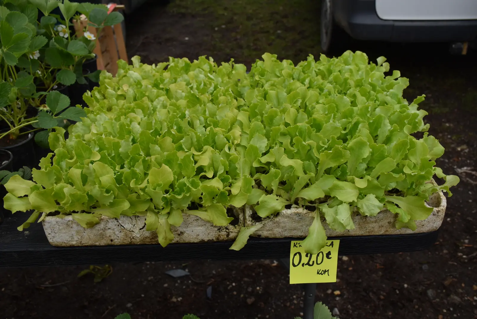 Sajam, Čakovec 26.3 (21)