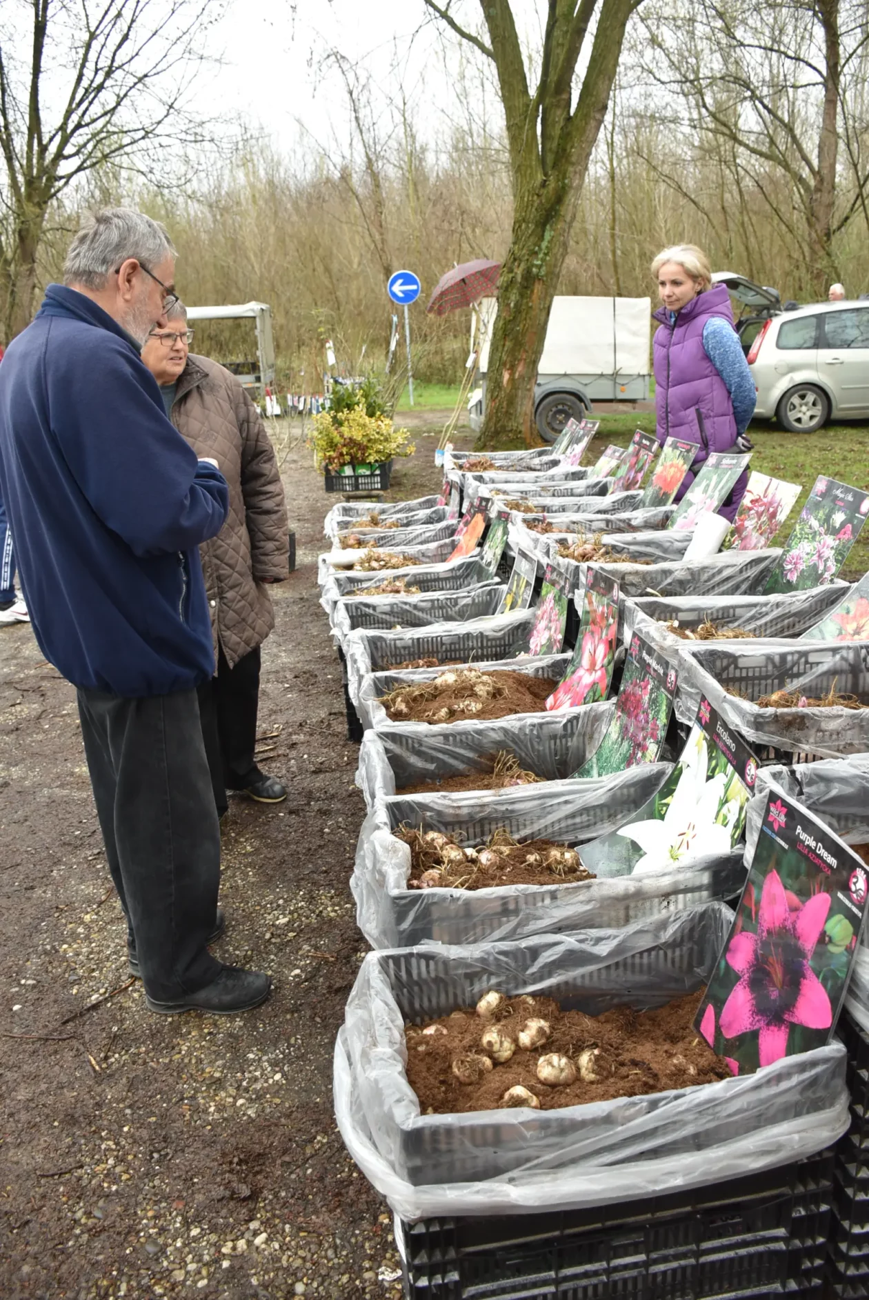 Sajam, Čakovec 26.3 (25) Sajam, Čakovec 26.3 (25)