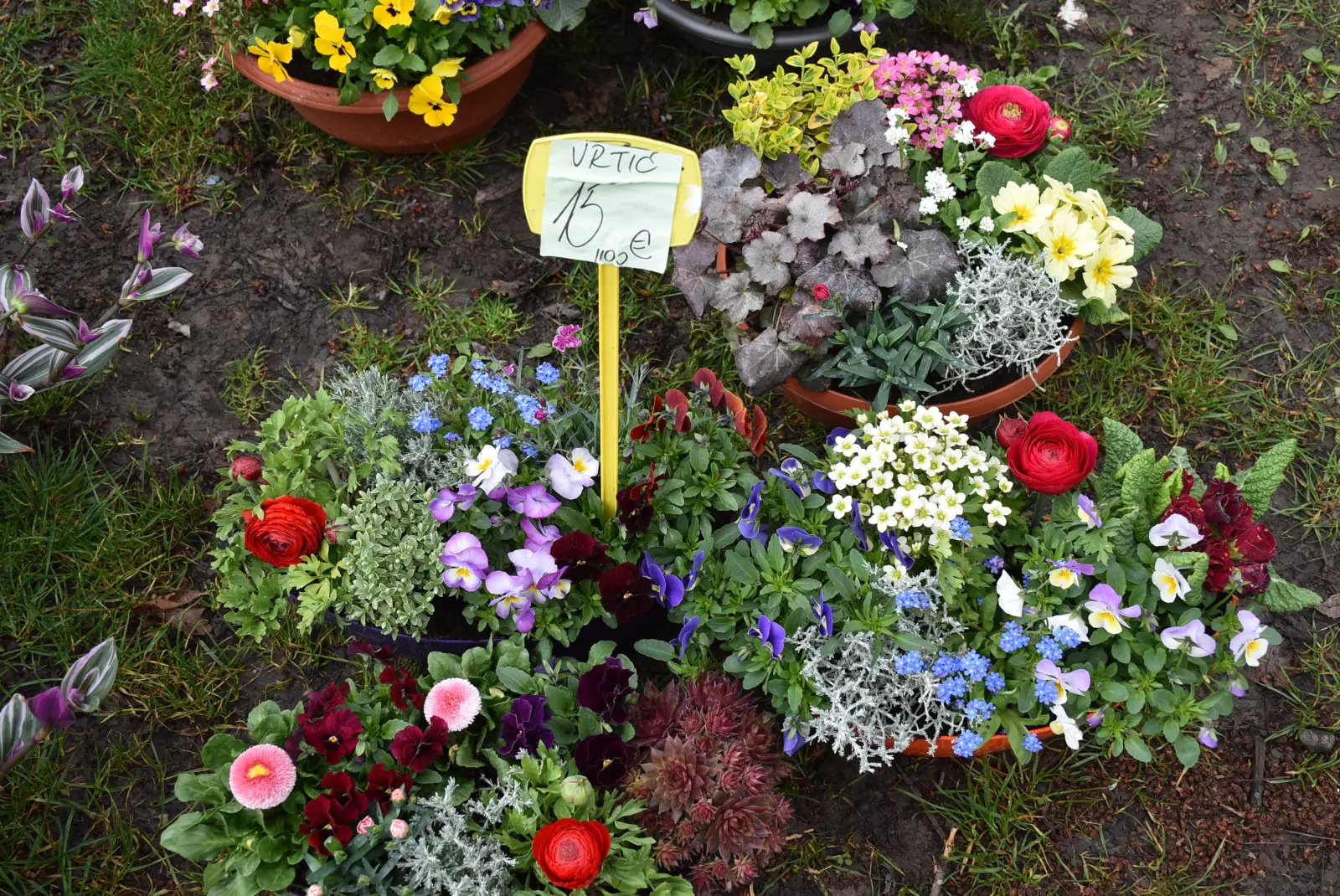 Sajam, Čakovec 26.3 (34)