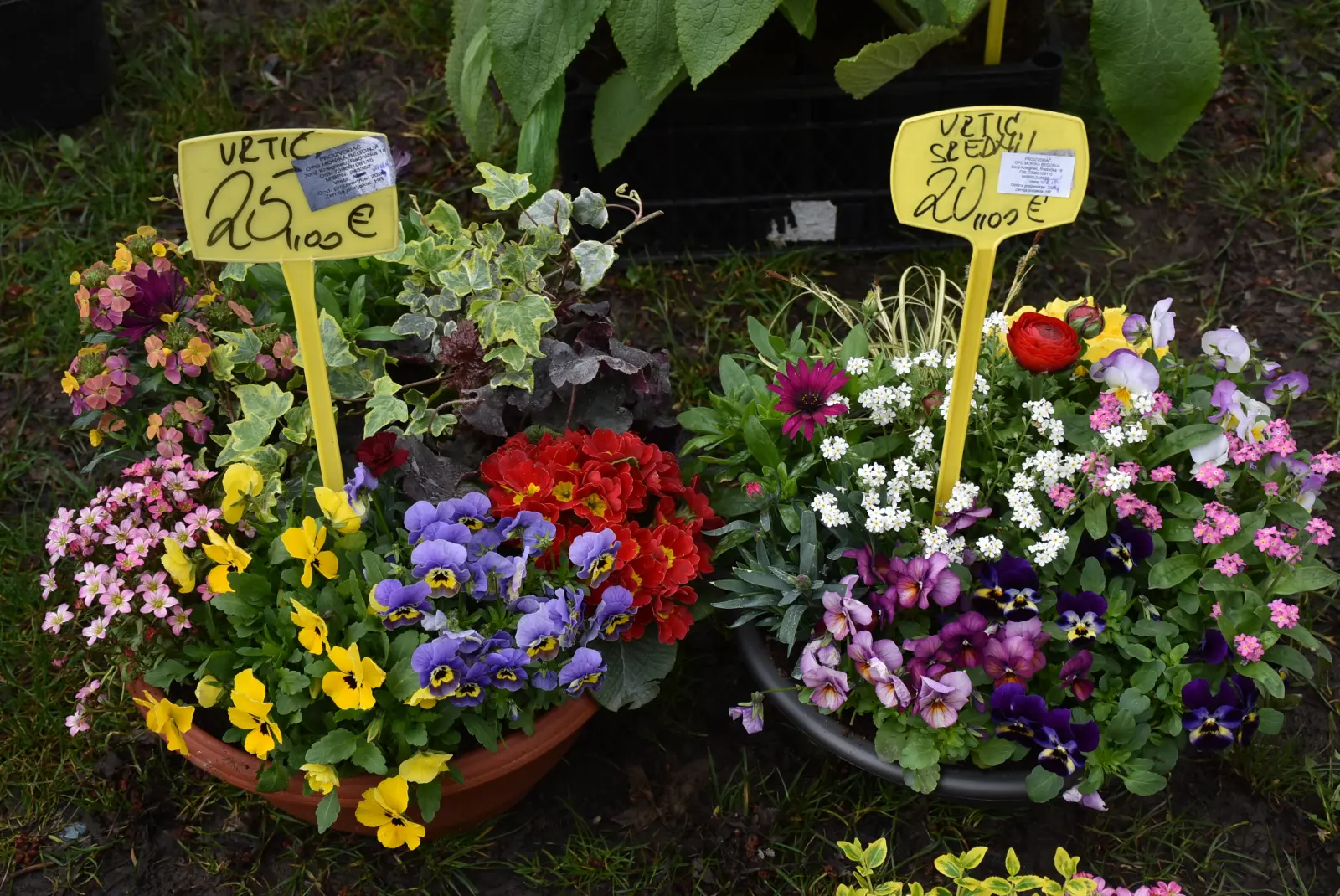 Sajam, Čakovec 26.3 (35)