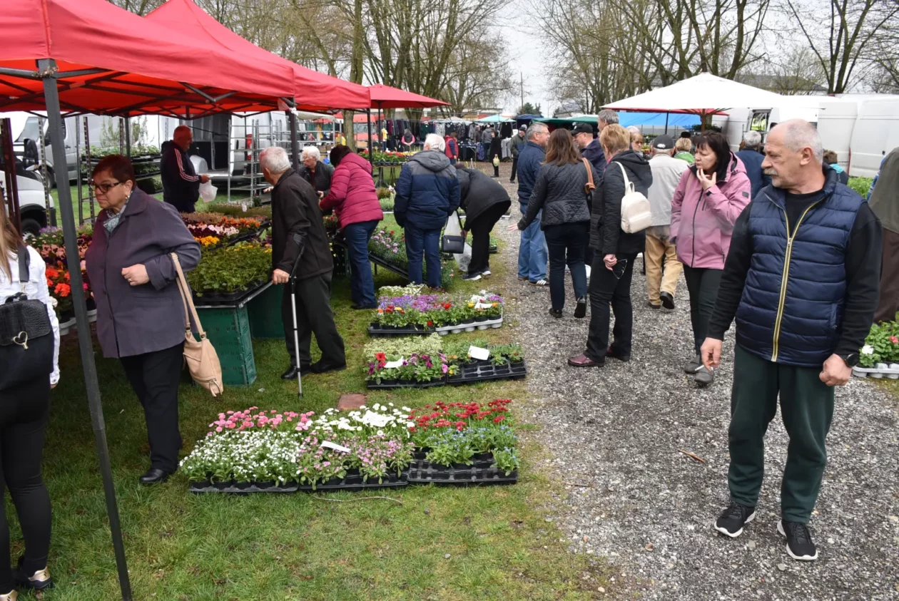 Sajam, Čakovec 26.3 (43) Sajam, Čakovec 26.3 (43)