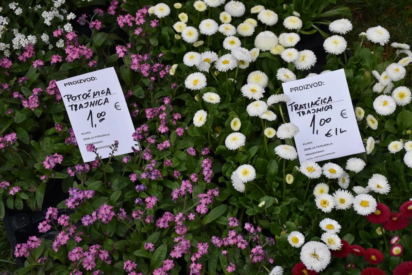 Sajam, Čakovec 26.3 (44)