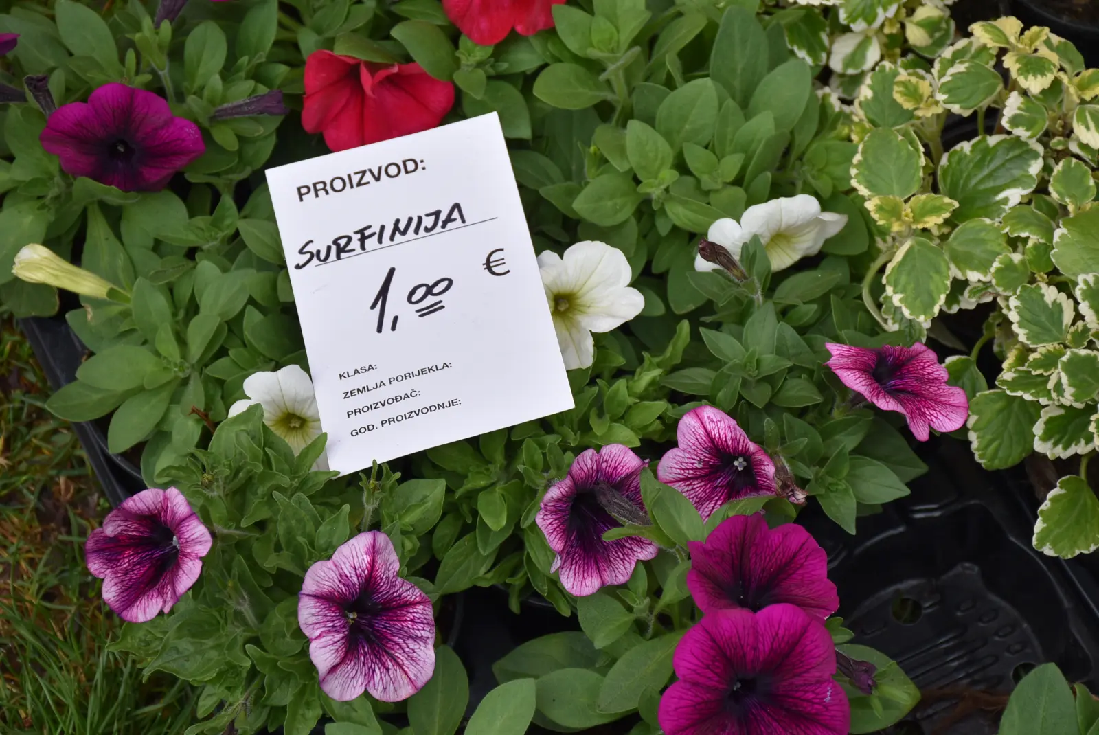 Sajam, Čakovec 26.3 (45)