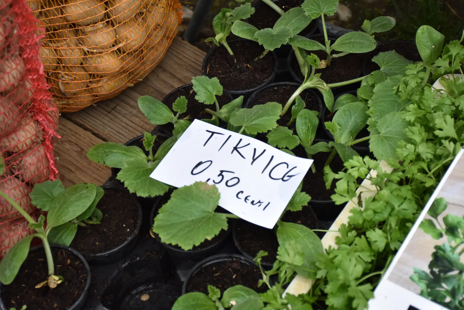 Sajam, Čakovec 26.3 (5)