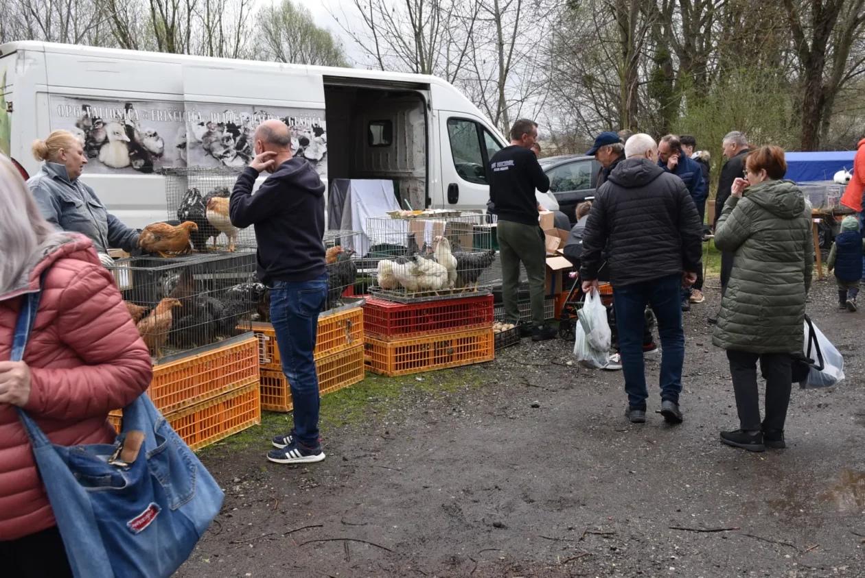 Sajam, Čakovec 26.3 (54) Sajam, Čakovec 26.3 (54)